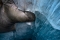 Rhonegletscher_inside#20
